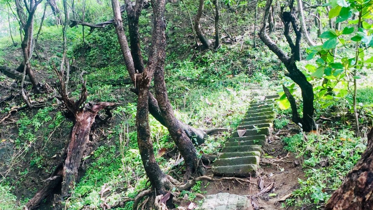 A path through Green Season