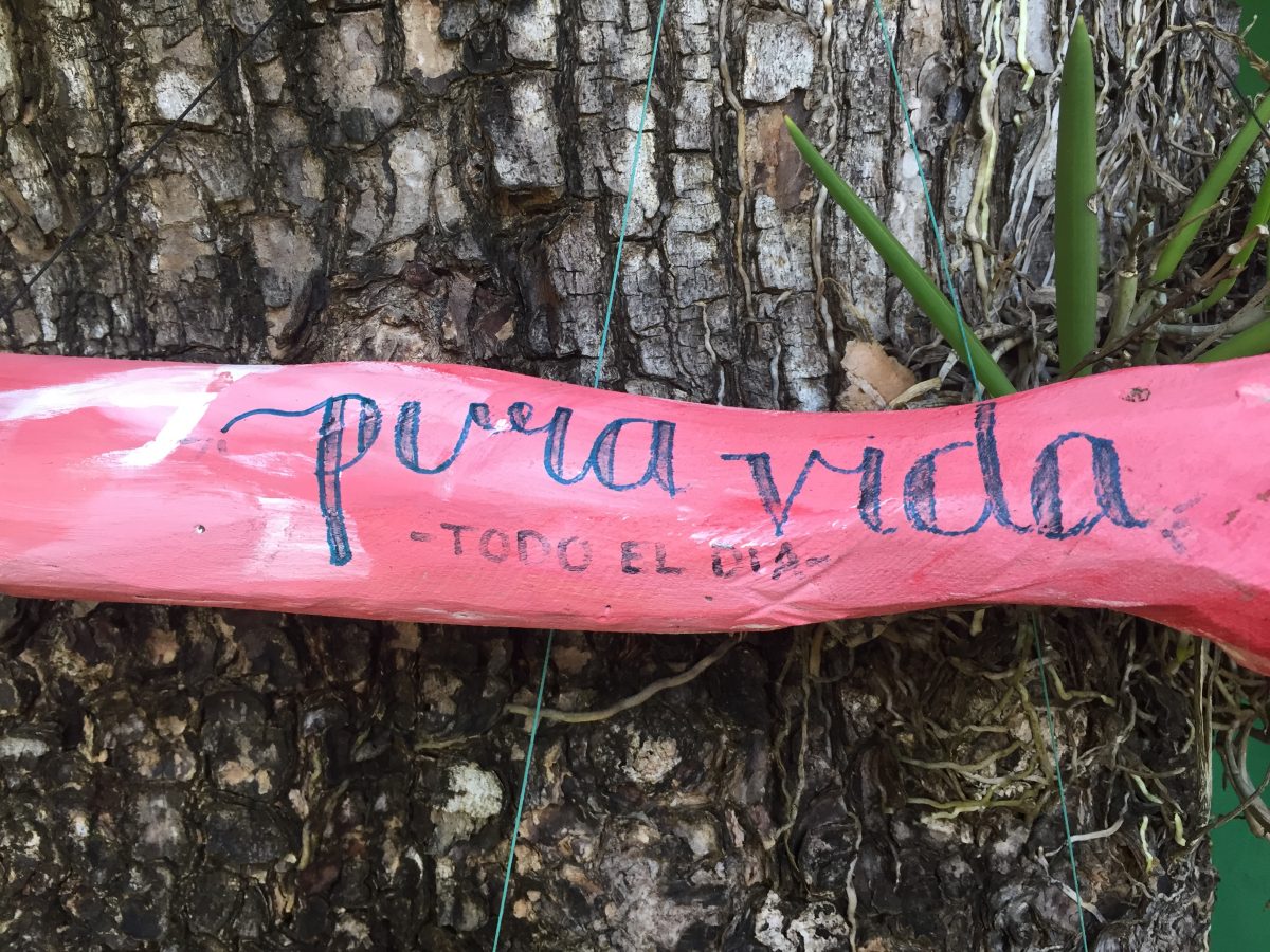 Pura Vida