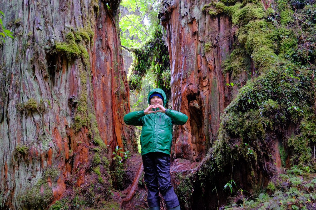 Walking with the giants in Patagonia